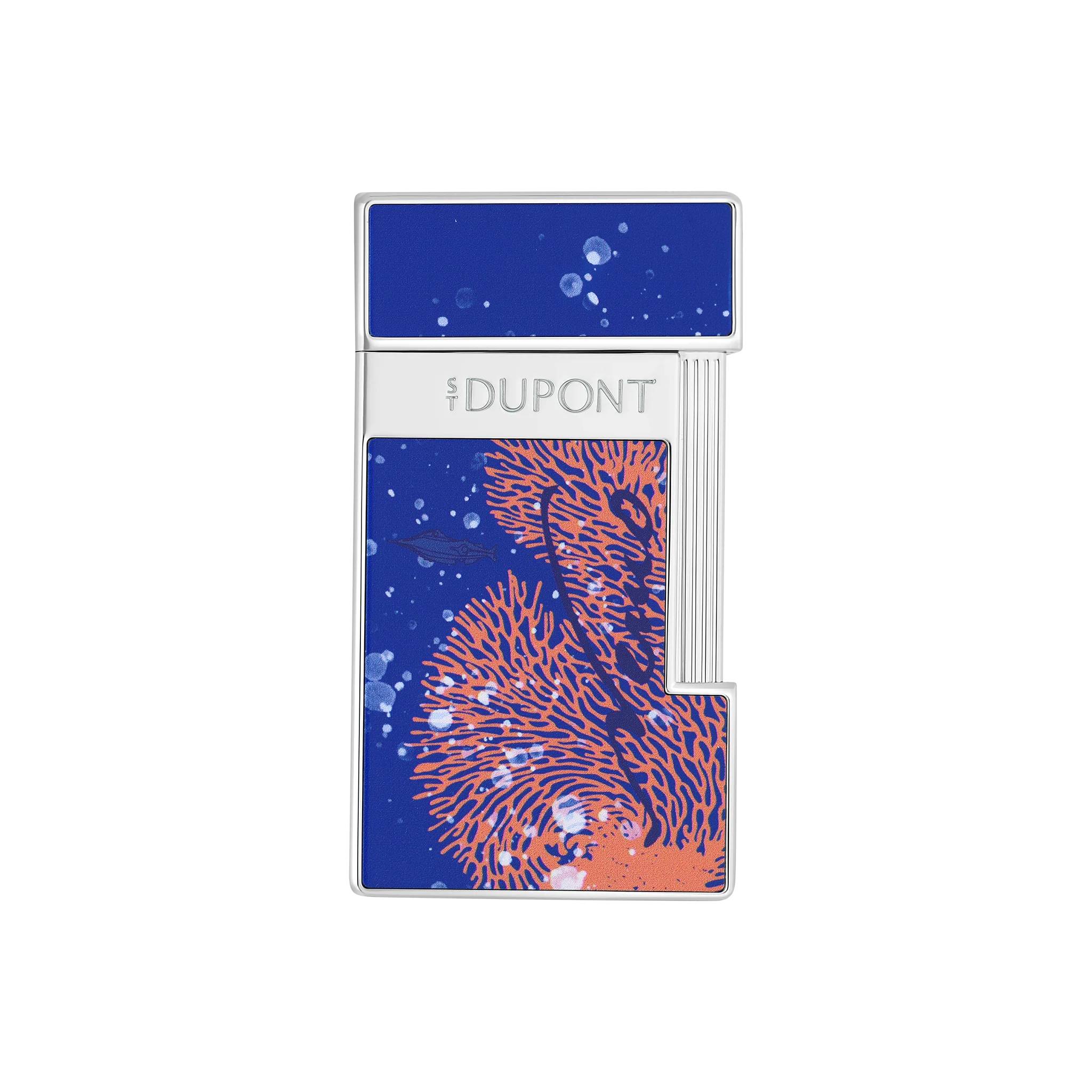 028053_1 Slimmy Vanikoro